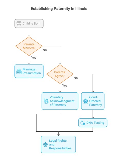 How to Establish Paternity in Illinois