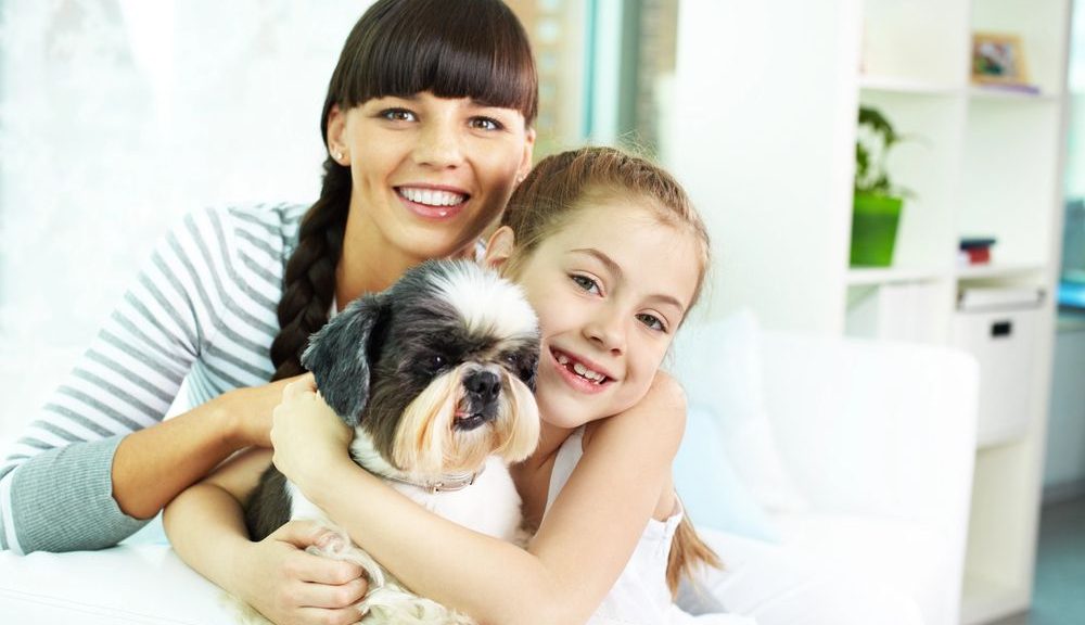 Providing Primary Care for the Pet in Illinois Divorce | Legal Insights by Cooper Trachtenberg Law Group